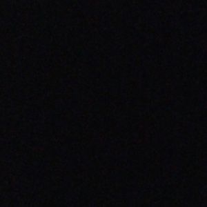 Meet your Posher, Dennis